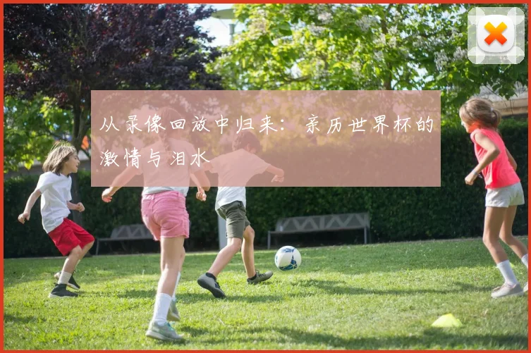 从录像回放中归来：亲历世界杯的激情与泪水