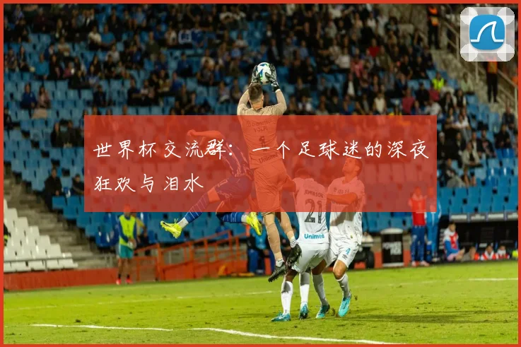 世界杯交流群：一个足球迷的深夜狂欢与泪水