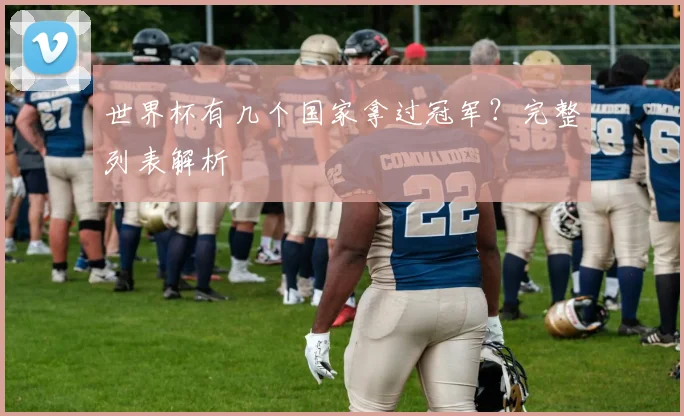 世界杯有几个国家拿过冠军？完整列表解析