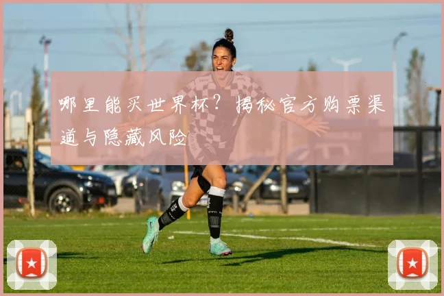 哪里能买世界杯?揭秘官方购票渠道与隐藏风险