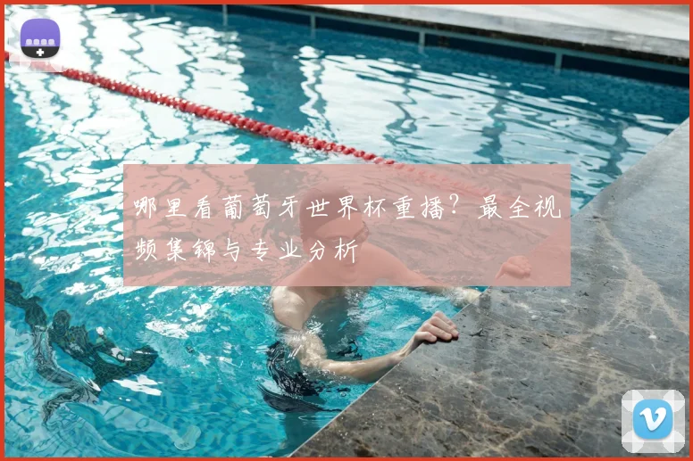 哪里看葡萄牙世界杯重播?最全视频集锦与专业分析