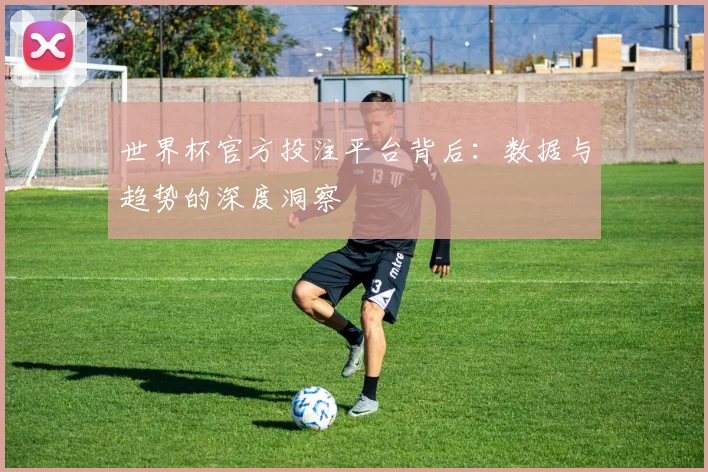 世界杯官方投注平台背后:数据与趋势的深度洞察