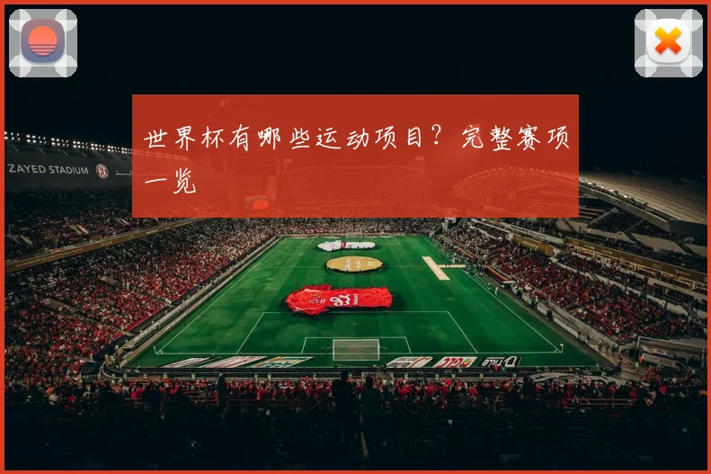 世界杯有哪些运动项目?完整赛项一览