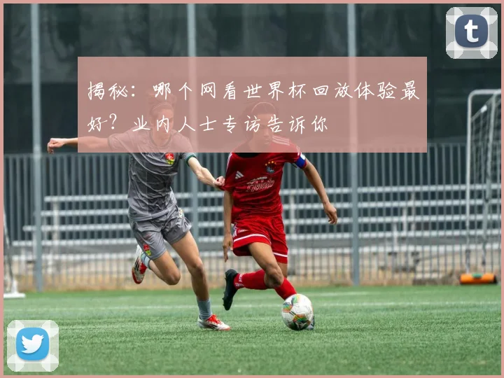揭秘:哪个网看世界杯回放体验最好?业内人士专访告诉你