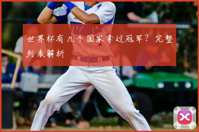 世界杯有几个国家拿过冠军？完整列表解析