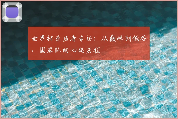 世界杯亲历者专访：从巅峰到低谷，国家队的心路历程