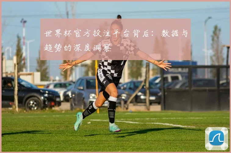 世界杯官方投注平台背后:数据与趋势的深度洞察